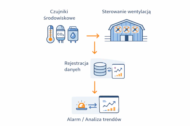 Logo Project Development